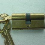 Inserto de puerta 31/31